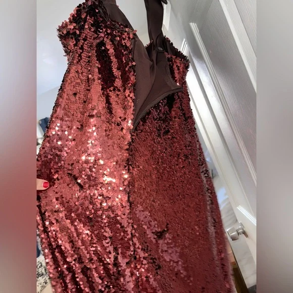 Tuckernuck Radiant Bronze Sequin Roxy Dress - Picture 9 of 9